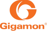 Gigamon